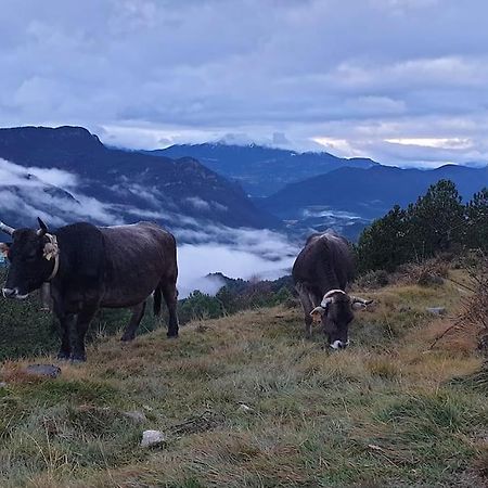 לה פובלה דה לילט Precioso Apartamento En El Pirineo Catalan מראה חיצוני תמונה