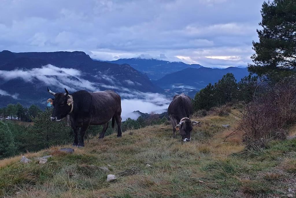לה פובלה דה לילט Precioso Apartamento En El Pirineo Catalan מראה חיצוני תמונה